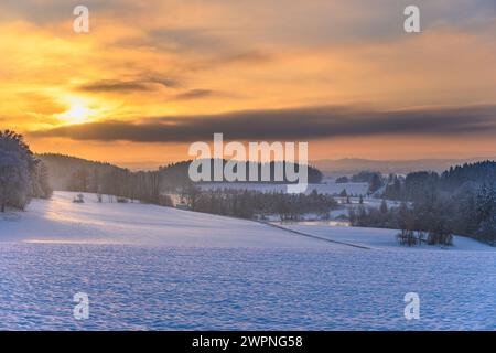 Allemagne, Bavière, Tölzer Land, Egling, district Harmating, paysage d'hiver avec étang Harmating Banque D'Images