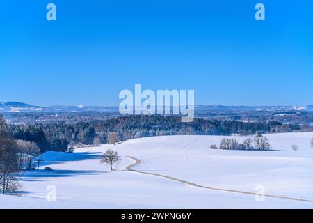 Allemagne, Bavière, Tölzer Land, Münsing, Degerndorf, paysage hivernal au lac Starnberg, vue depuis Fürst-Tegernberg Banque D'Images