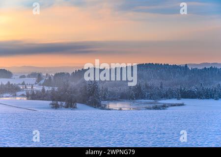 Allemagne, Bavière, Tölzer Land, Egling, district Harmating, paysage d'hiver avec étang Harmating Banque D'Images