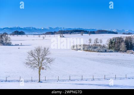 Allemagne, Bavière, Tölzer Land, Münsing, paysage hivernal contre les Alpes, vue depuis le Höhenberg Banque D'Images