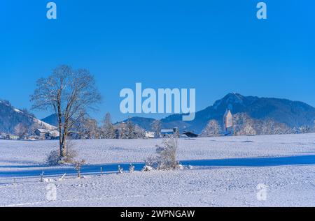 Allemagne, Bavière, Tölzer Land, Isarwinkel, Wackersberg, paysage hivernal avec vue sur le village contre les contreforts des Alpes Banque D'Images