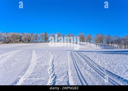 Allemagne, Bavière, Tölzer Land, Isarwinkel, Wackersberg, paysage hivernal avec piste de ski de fond près de Bach Banque D'Images