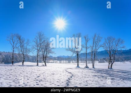 Allemagne, Bavière, Tölzer Land, Isarwinkel, Wackersberg, paysage hivernal contre Vorkarwendel et Brauneck près de Sonnershof Banque D'Images