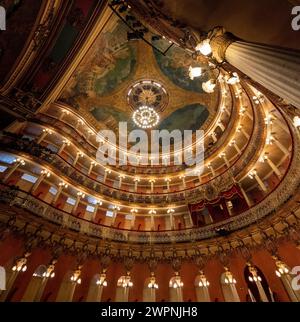 Manaus - forêt tropicale brésilienne, croisière en Amazonie sur un bateau boutique (MS Janganda) - croisière fluviale Banque D'Images