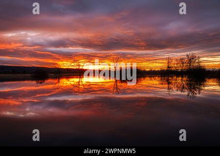 Sanctuaire ornithologique Ammersee-Südufer, crue, lever du soleil, Ammersee, Dießen, haute Bavière, Bavière, Allemagne Banque D'Images