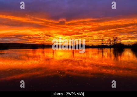 Sanctuaire ornithologique Ammersee-Südufer, crue, lever du soleil, Ammersee, Dießen, haute Bavière, Bavière, Allemagne Banque D'Images