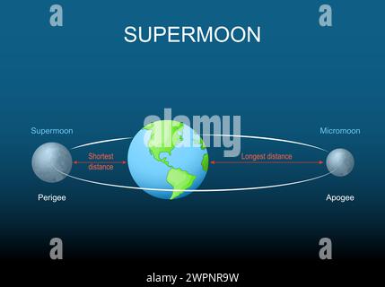 Supermoon, micromoon, apogée, périgée. Cycle lunaire. Orbite elliptique lunaire. Illustration vectorielle plate isométrique Illustration de Vecteur