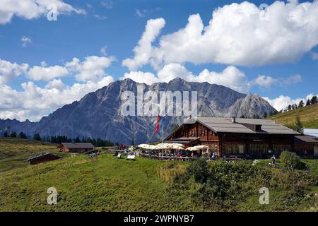 Allemagne, Bavière, haute-Bavière, Berchtesgadener Land, Schönau am Königssee, Gotzenalm, massif du Watzmann Banque D'Images