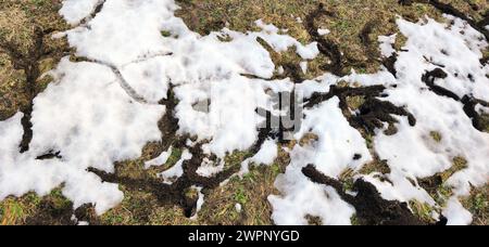 Vole Tracks dans les terres agricoles, impopulaires auprès des agriculteurs Banque D'Images