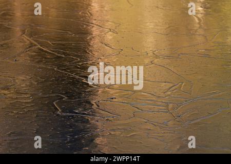 Motifs et structures en filigrane dans la glace sur un lac gelé, reflets dorés à travers la forêt illuminée par le soleil, Allemagne Banque D'Images