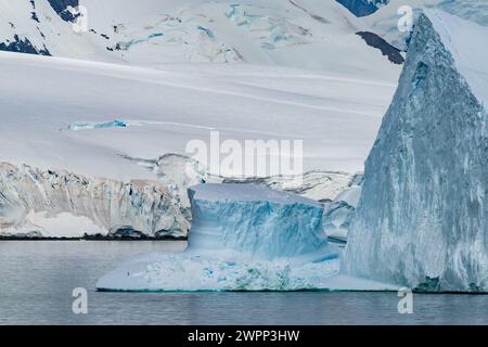 Un manchot empereur solitaire (Aptenodytes forsteri) sur un iceberg sur la côte de l'Antarctique. Banque D'Images