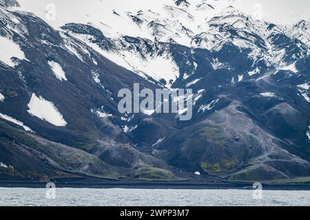 Des dizaines de milliers de pingouins vivent sur les roches volcaniques sombres de Deception Island, en Antarctique. Banque D'Images