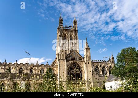 Cathédrale de Gloucester, Angleterre, Grande-Bretagne, Europe Banque D'Images