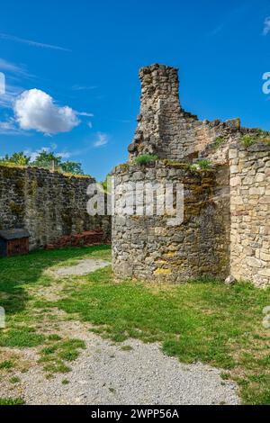 Les ruines du château de Schaumburg, également connu sous le nom de Schaumberg, sont situées à l'ouest de Schalkau (quartier de Sonneberg) en Thuringe. C'était le siège ancestral de la noble famille Schaumberg. Banque D'Images