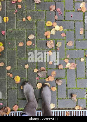 Des feuilles d'automne colorées reposent sur des pavés mousssés, des bottes en caoutchouc au premier plan au bord inférieur de l'image, caillebotis comme une grille de protection s'étend parallèlement à elle Banque D'Images