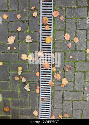 Diverses feuilles d'automne colorées reposent sur les joints couverts de mousse des pavés, la grille galvanisée du drain de pluie traverse le centre de l'image en format portrait Banque D'Images