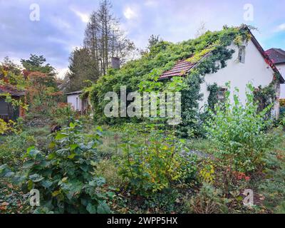 Vue depuis la rue d'une maison abandonnée envahie par la végétation, envahie par le lierre, Berlin, Allemagne Banque D'Images