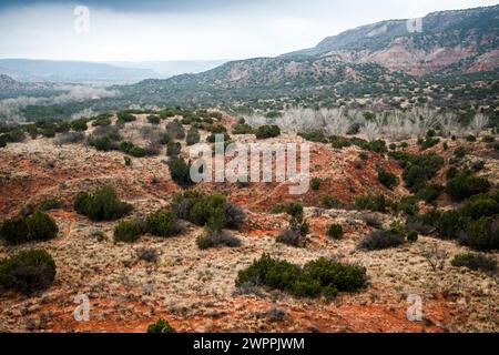 Journée nuageuse au parc d'État de Palo Duro Canyon, Texas Banque D'Images