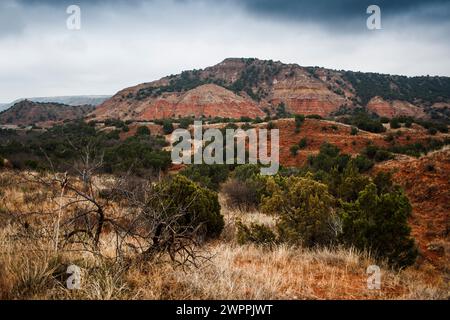 Journée nuageuse au parc d'État de Palo Duro Canyon, Texas Banque D'Images