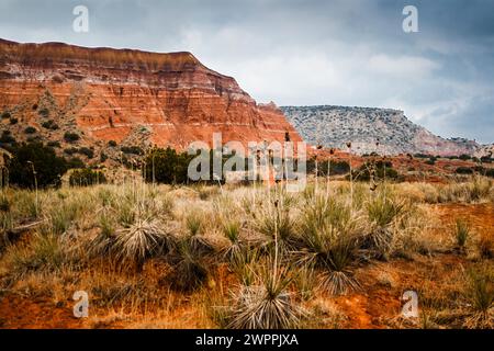 Journée nuageuse au parc d'État de Palo Duro Canyon, Texas Banque D'Images