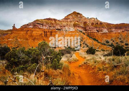 Journée nuageuse au parc d'État de Palo Duro Canyon, Texas Banque D'Images