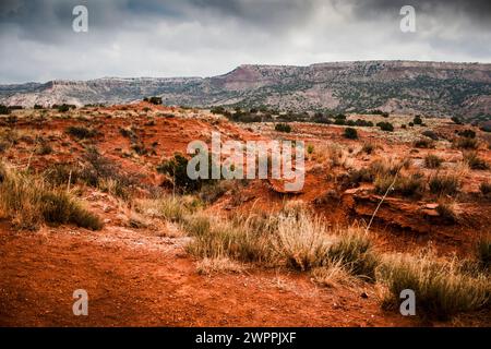 Journée nuageuse au parc d'État de Palo Duro Canyon, Texas Banque D'Images