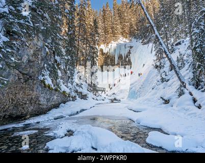 Grimpeurs de glace lointains méconnaissables sur les hautes chutes gelées du canyon Johnston dans le parc national Banff, Alberta, Canada Banque D'Images