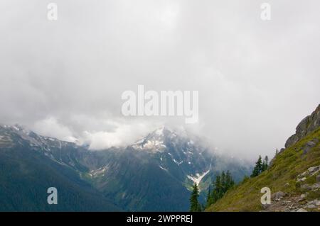 Le long du Copper Ridge Trail dans le parc national North Cascades, État de Washington Banque D'Images