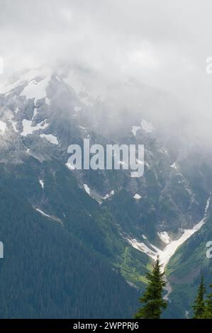 Le long du sentier Copper Ridge dans le parc national North Cascades Banque D'Images