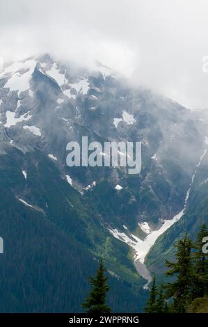 Le long du sentier Copper Ridge dans le parc national North Cascades Banque D'Images