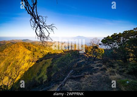 Incroyable Mont Bromo volcan pendant le ciel ensoleillé du point de vue de King kong sur la montagne Penanjakan dans le parc national de Bromo Tengger Semeru, Java oriental, Indonésie Banque D'Images
