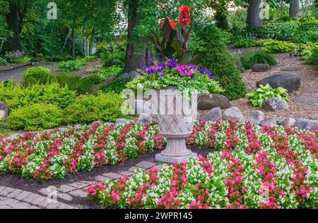 Joli pot en pierre à motifs avec des fleurs et des lis canna entourés de bordures de fleurs blanches et roses de bégonia en rangées rayées. Banque D'Images