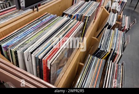 Grande collection de disques vinyles affichés dans des bacs en bois, sélection d'albums de musique populaire diversifiée dans un magasin de musique, magasin, supermarché. Albums musicaux Banque D'Images