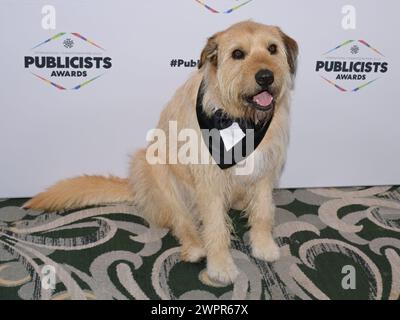 8 mars 2024, Beverly Hilly, Californie, États-Unis : Ukai assiste au 61e ICG Publicists Awards. (Crédit image : © Billy Bennight/ZUMA Press Wire) USAGE ÉDITORIAL SEULEMENT! Non destiné à UN USAGE commercial ! Banque D'Images