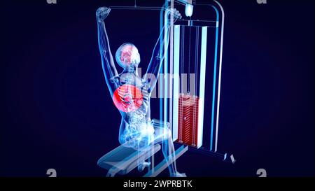 Homme utilisant la machine de traction lat, illustration Banque D'Images