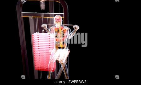 Homme utilisant la machine de traction lat, illustration Banque D'Images