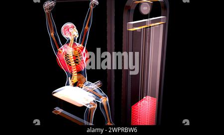 Homme utilisant la machine de traction lat, illustration Banque D'Images