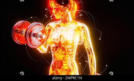 Femme faisant des boucles de biceps, illustration Banque D'Images