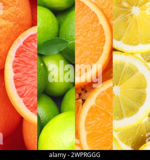 Agrumes. Pamplemousses frais, citrons verts, oranges et citrons, vue de dessus Banque D'Images