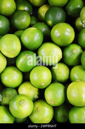 Gros plan d'une boîte de limes exposée dans la section fruits d'un supermarché à Sprowston, Norfolk, Angleterre, Royaume-Uni. Banque D'Images