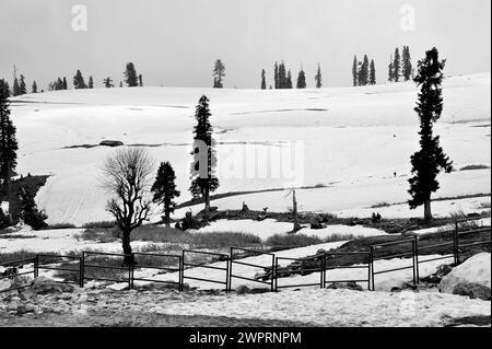 Clôture métallique, paysage neigé, Kungdoor, Gulmarg, Baramulla, Cachemire, Jammu-et-Cachemire, Inde, Asie Banque D'Images