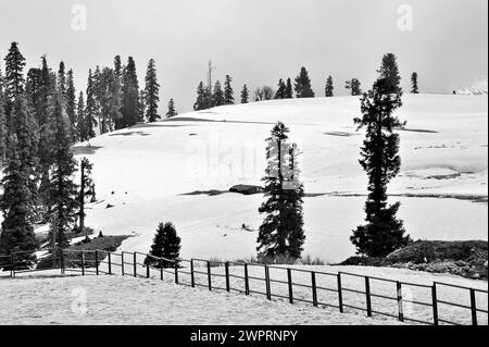 Clôture métallique, paysage neigé, Kungdoor, Gulmarg, Baramulla, Cachemire, Jammu-et-Cachemire, Inde, Asie Banque D'Images