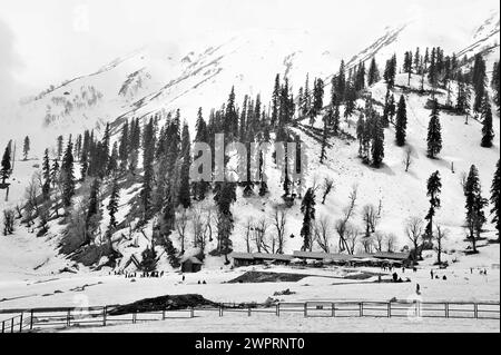 Clôture métallique, paysage neigé, Kungdoor, Gulmarg, Baramulla, Cachemire, Jammu-et-Cachemire, Inde, Asie Banque D'Images