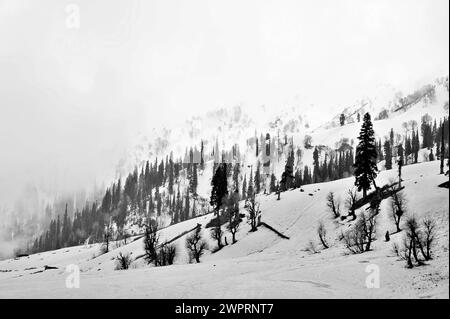 Paysage de neige, montagnes PIR Panjal, Kungdoor, Gulmarg, Baramulla, Cachemire, Jammu-et-Cachemire, Inde, Asie Banque D'Images