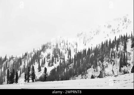 Paysage de neige, montagnes PIR Panjal, Kungdoor, Gulmarg, Baramulla, Cachemire, Jammu-et-Cachemire, Inde, Asie Banque D'Images