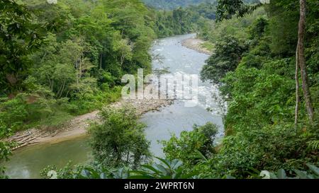 Vue panoramique sur la rivière Alas avec une forêt tropicale dense à Ketambe, parc national Gunung Leuser, nord de Sumatra, Indonésie Banque D'Images