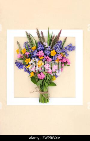 Cadre de fond posant de fleurs sauvages de printemps avec Bluebell, campion rouge, Buttercup, fleurs fumées de dames avec des fleurs de prairie et des herbes. Banque D'Images