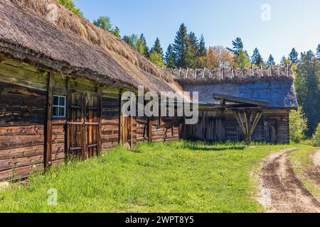 Ancienne grange en bois avec toit de chaume dans la campagne une journée d'été ensoleillée, Bastoena, Vara, Suède Banque D'Images