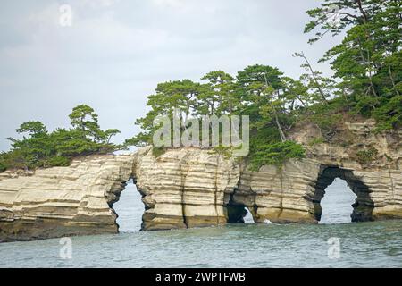 Dans la baie de Matsushima, pin noir japonais (Pinus thunbergii), baie de Matsushima, Matsushima, Honshu, Japon Banque D'Images