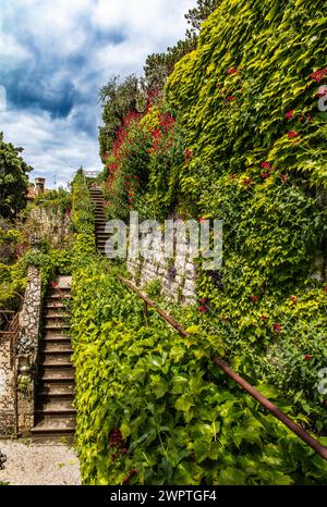 Jardin du château, Château de Duino, avec vue spectaculaire sur la mer, résidence privée des princes de Thurn und taxis, Duino, Frioul, Italie, Duino, Friuli Banque D'Images